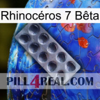 Rhinocéros 7 Bêta 30